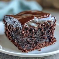 Two layers of rich Easy Chocolate Fudge Cake sit on a wire rack, perfectly moist with a few tender crumbs visible on the cut edges.